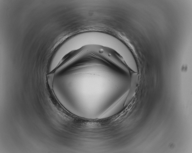 X0000096450154200802211242