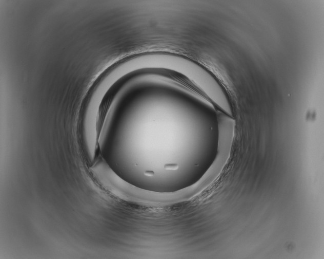 X0000096450156200802211242