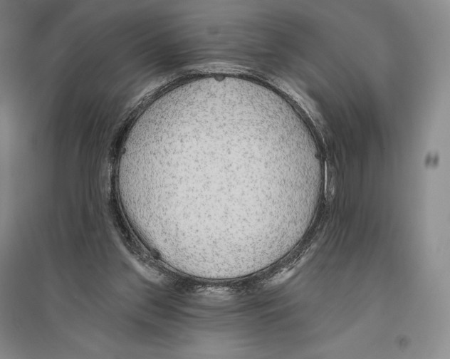 X0000096450157200802211242