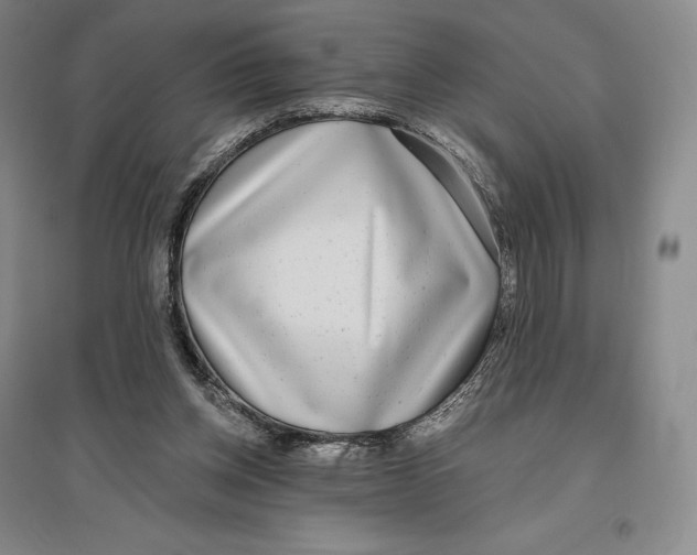 X0000096450158200802211242