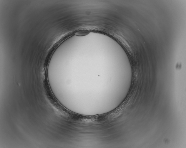 X0000096450160200802211242