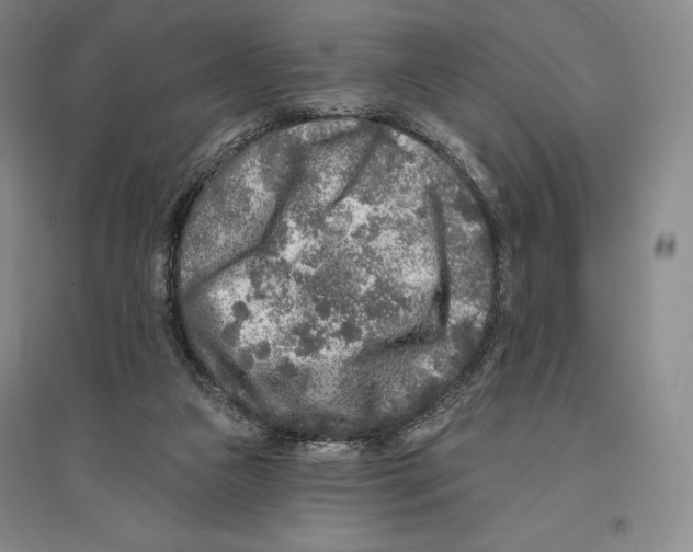 X0000096450161200802211242