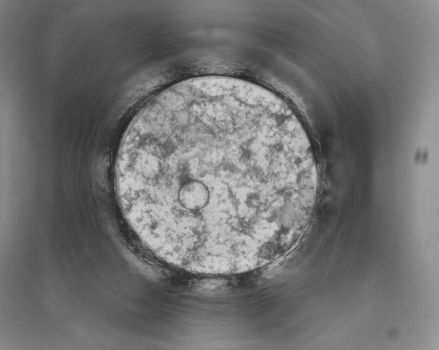 X0000096450162200802211242