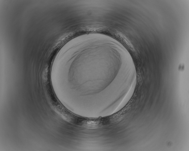 X0000096450163200802211242