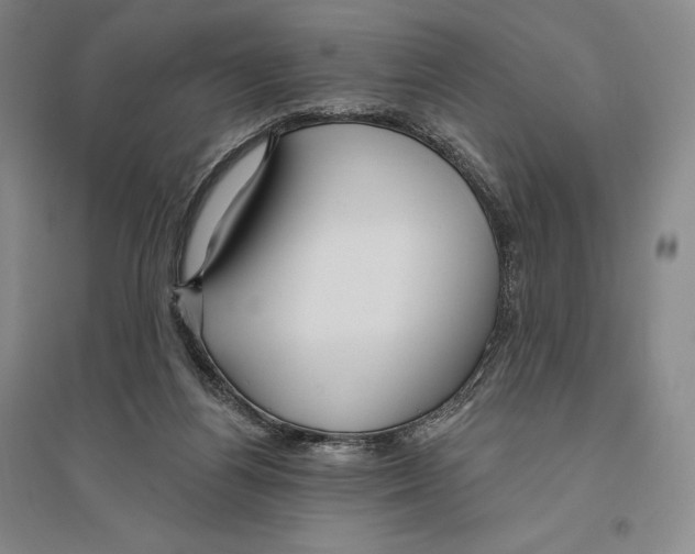 X0000096450164200802211242