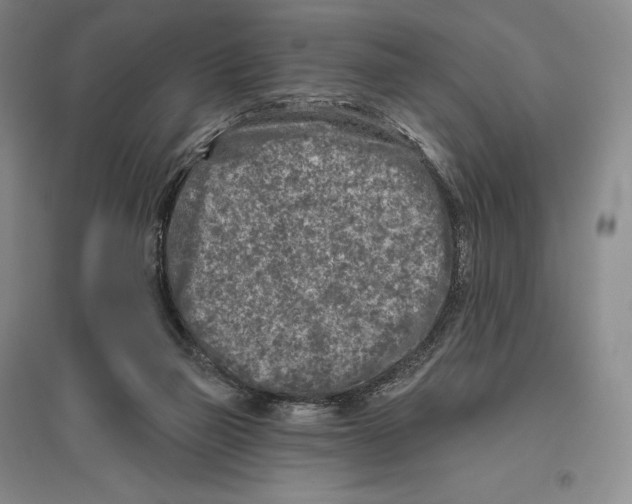 X0000096450165200802211242