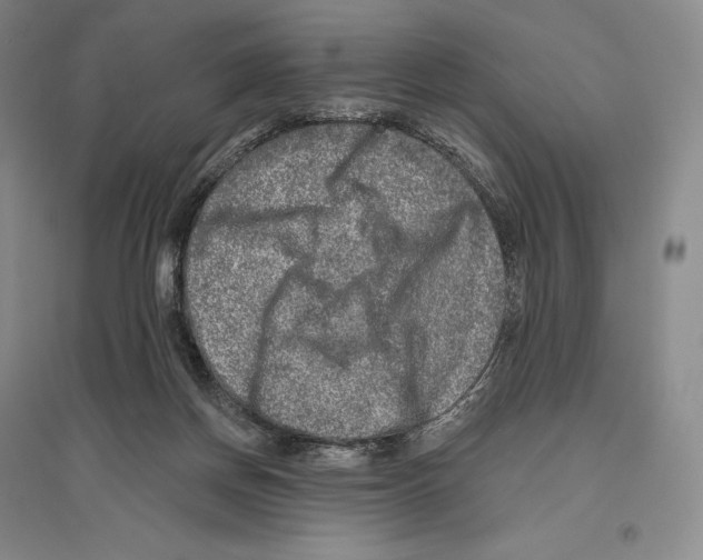 X0000096450166200802211242