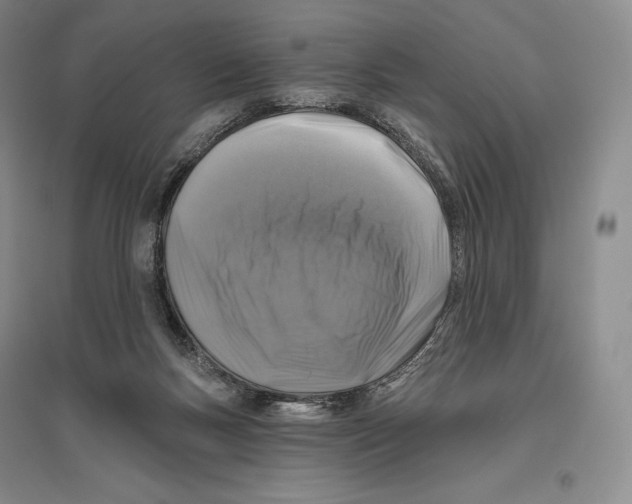 X0000096450167200802211242