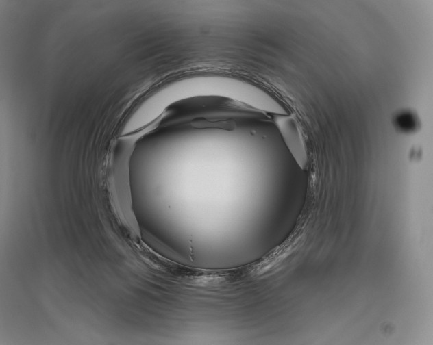 X0000096450168200802211242