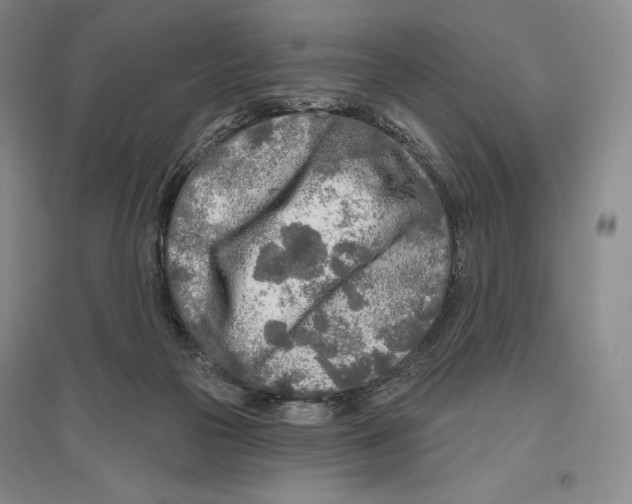 X0000096450169200802211242