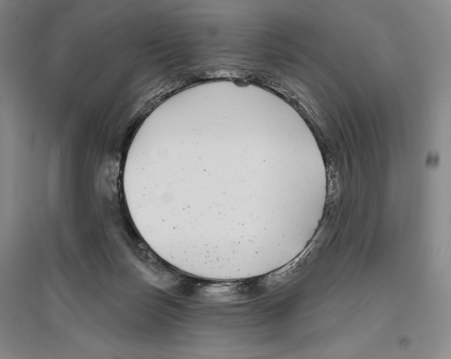 X0000096450171200802211242