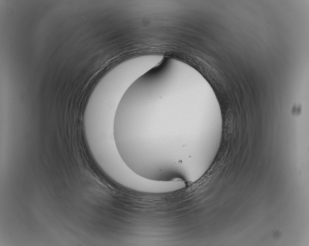 X0000096450172200802211242