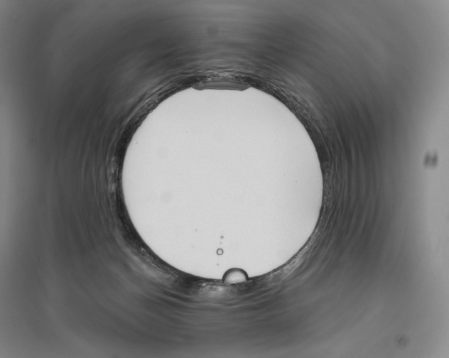 X0000096450174200802211242