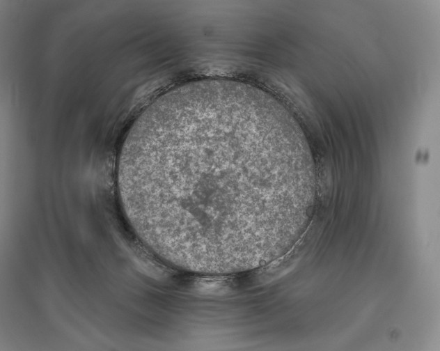 X0000096450175200802211242