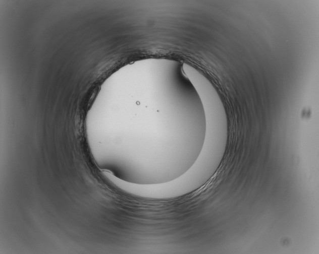 X0000096450176200802211242