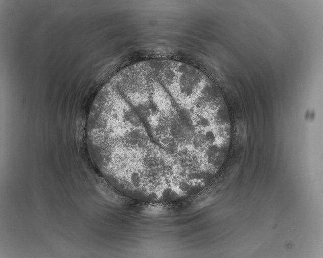 X0000096450177200802211242