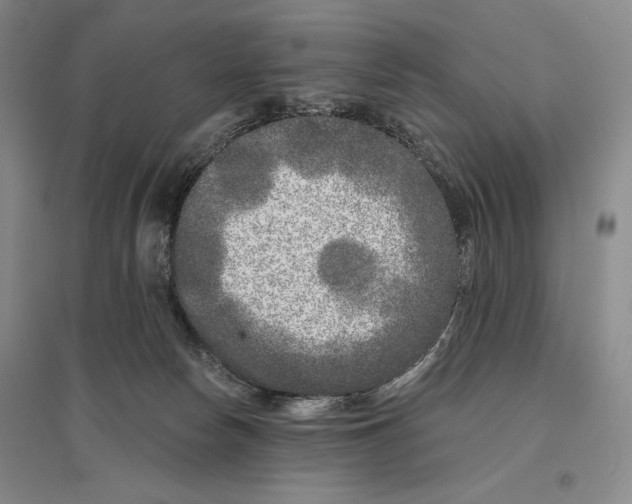 X0000096450178200802211242