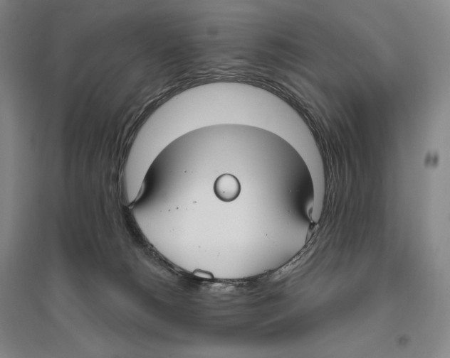 X0000096450180200802211242