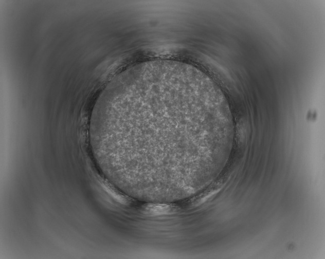 X0000096450181200802211242