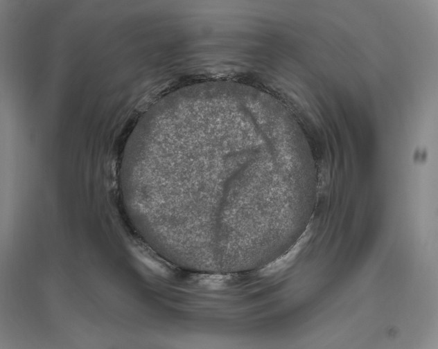 X0000096450182200802211242