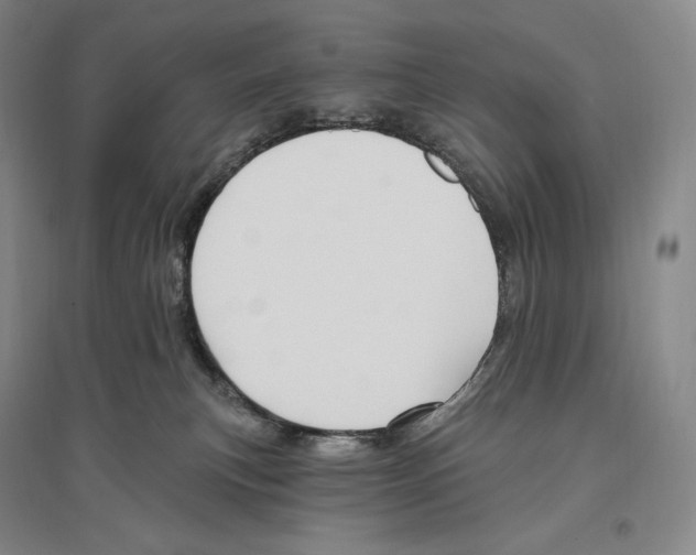 X0000096450183200802211242