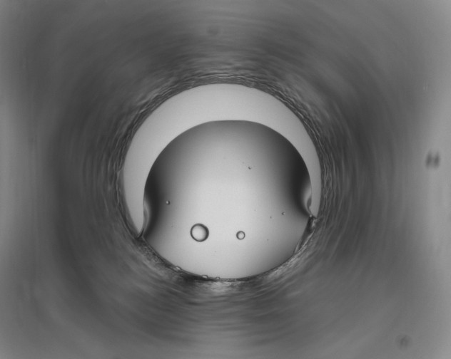 X0000096450184200802211243