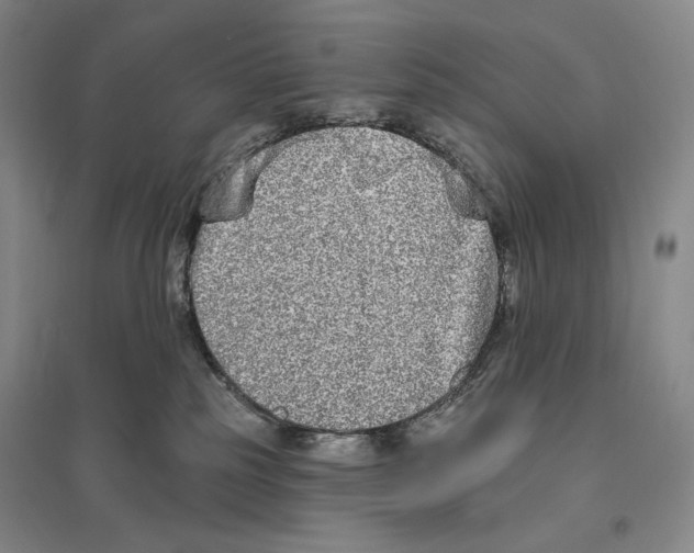 X0000096450185200802211243