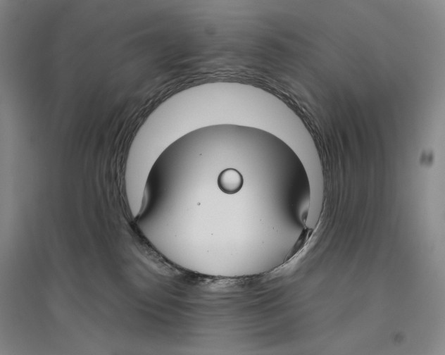 X0000096450186200802211243