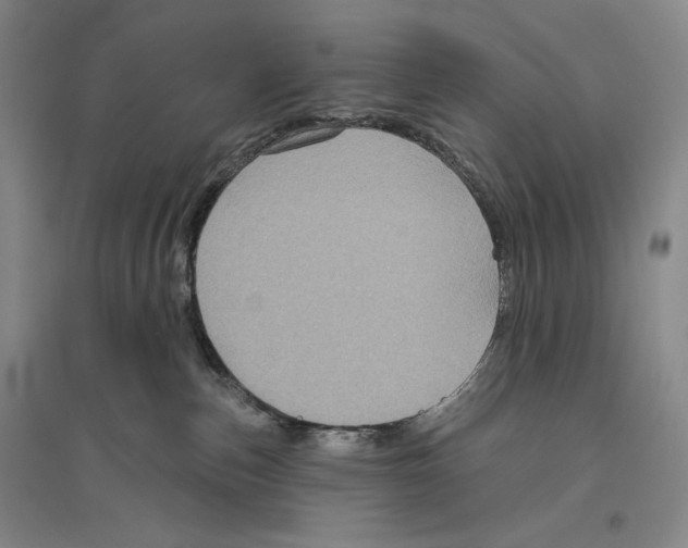 X0000096450187200802211243