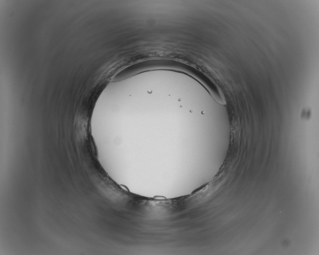 X0000096450188200802211243