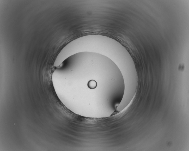 X0000096450190200802211243