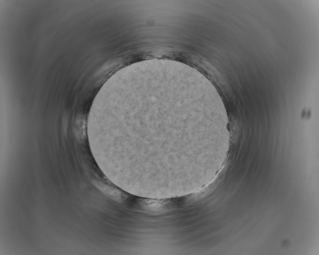 X0000096450191200802211243