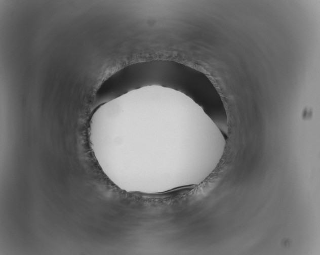 X0000096450192200802211243