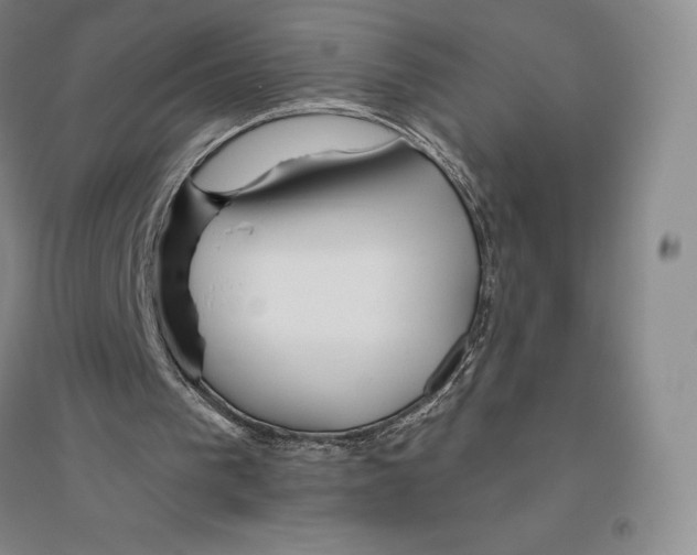 X0000096450193200802211242