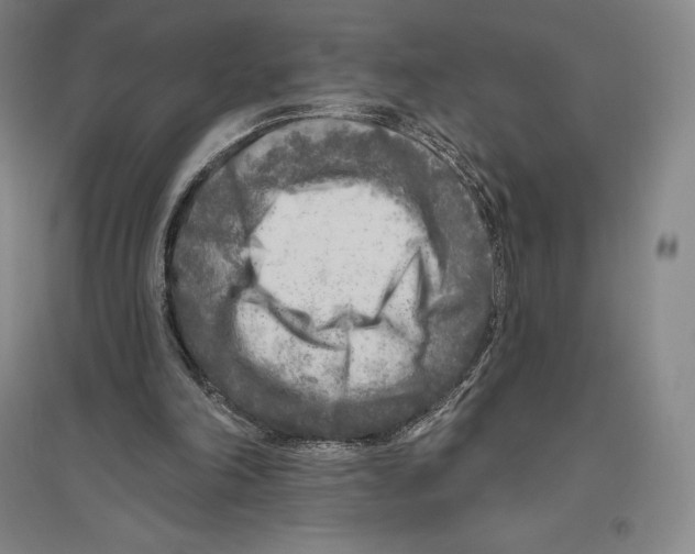 X0000096450198200802211242