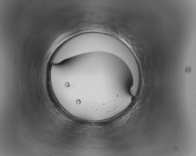 X0000096450199200802211242