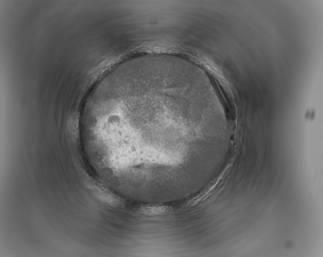 X0000096450202200802211242