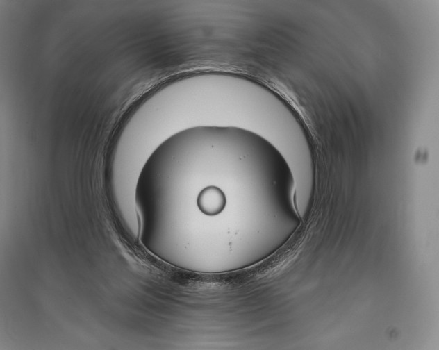 X0000096450205200802211242