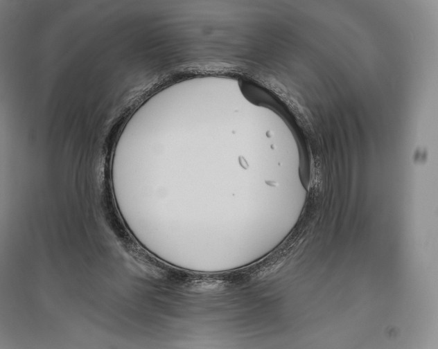 X0000096450206200802211242