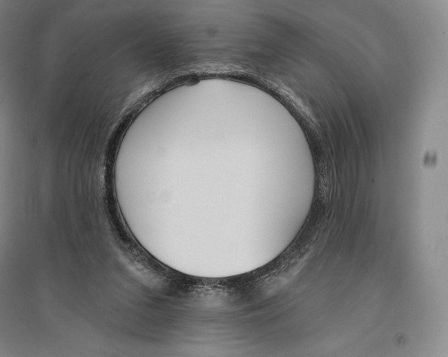 X0000096450207200802211242