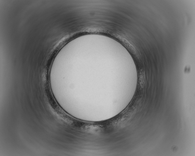 X0000096450208200802211242