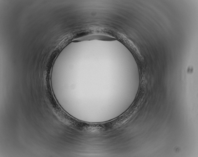 X0000096450209200802211242