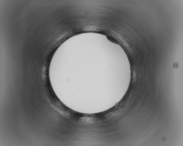 X0000096450211200802211242