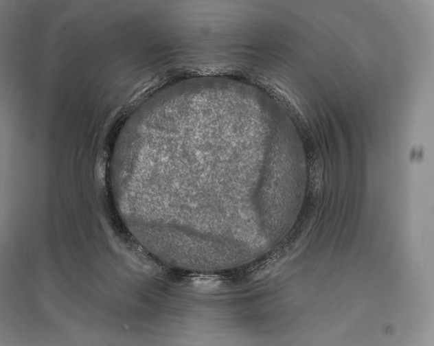 X0000096450214200802211242