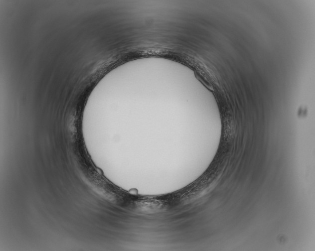 X0000096450215200802211242