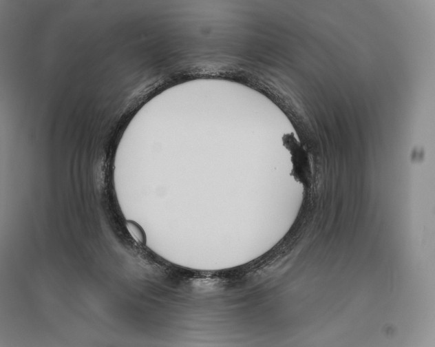 X0000096450216200802211242