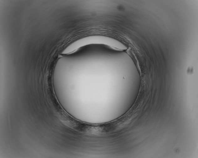 X0000096450217200802211242