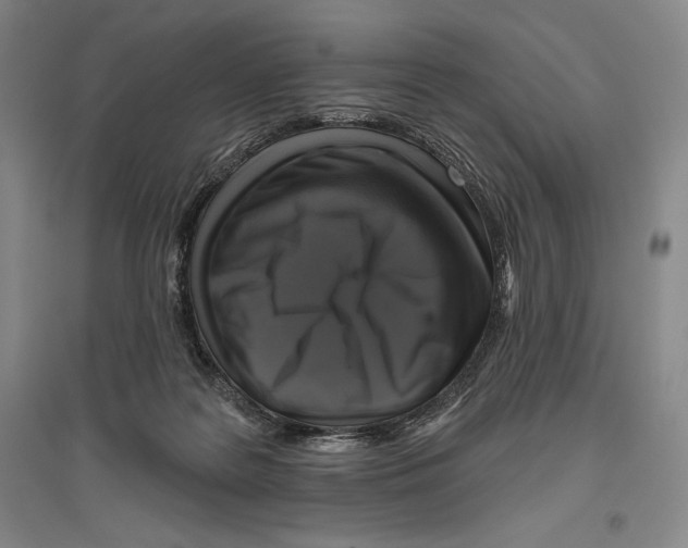 X0000096450219200802211242