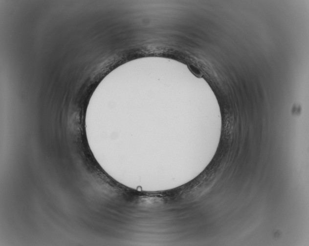 X0000096450220200802211242