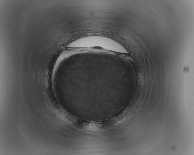 X0000096450223200802211241